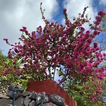Corralitos Hermigua