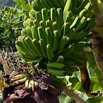 Corralitos Сasa de vacaciones *