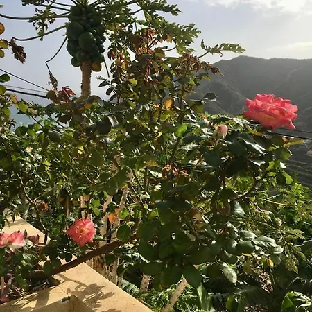 Corralitos * エルミグア