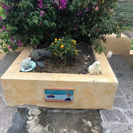 Corralitos *