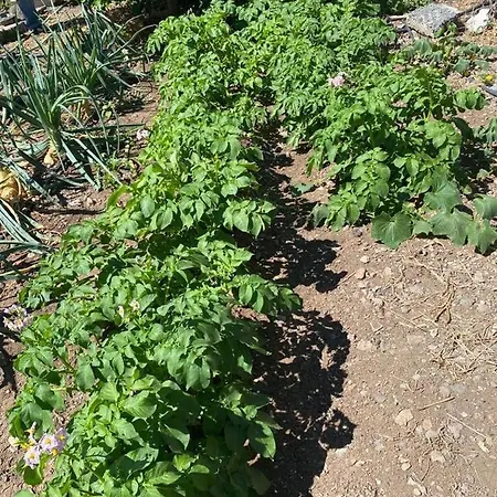 度假居 Corralitos 埃尔米瓜