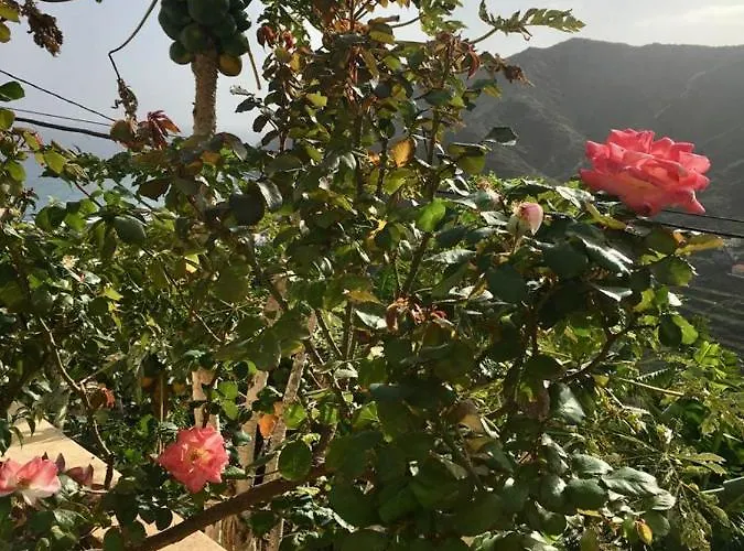 Corralitos * Hermigua