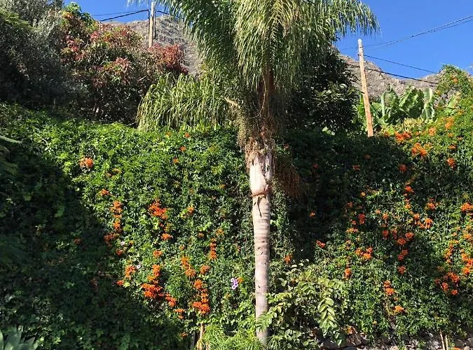 Semesterbostad Corralitos Hermigua