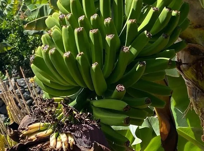 Corralitos Дом отдыха *