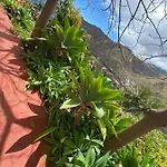 Corralitos