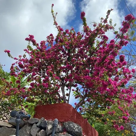 Corralitos Hermigua
