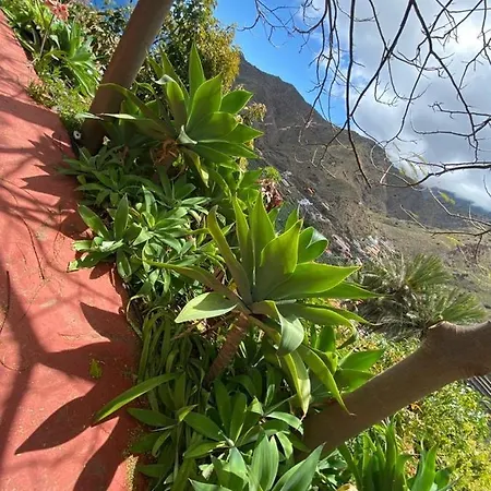 Corralitos