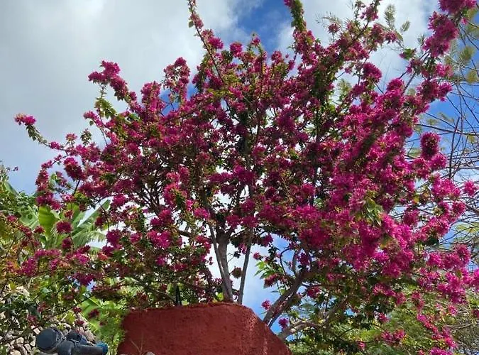 Corralitos Эрмигва